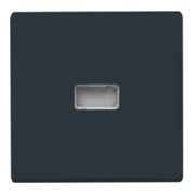Busch-Jaeger Wippe anth Kontroll-Wechsel 2107-35-3