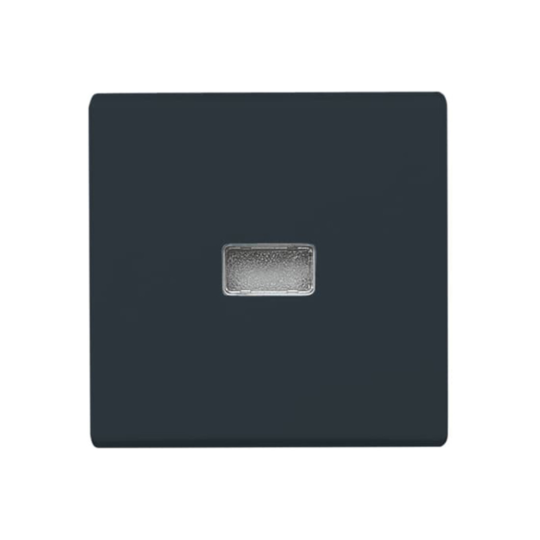 Busch-Jaeger Wippe anth Kontroll-Wechsel 2107-35