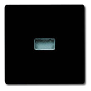 Busch-Jaeger Wippe anth Kontroll-Wechsel 2107-35-3