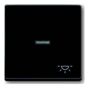 Busch-Jaeger Wippe anth mit Symbol Licht 1789 LI-81-3
