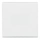 Busch-Jaeger Wippe aws Aus,Wechsel,Kreuz 2106-34