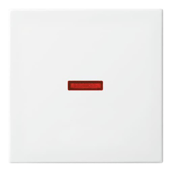 Busch-Jaeger Wippe aws Busch-balance SI 1789-914