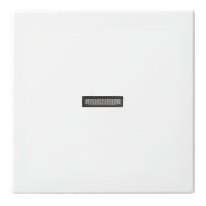 Busch-Jaeger Wippe aws Busch-balance SI 1789 N-914