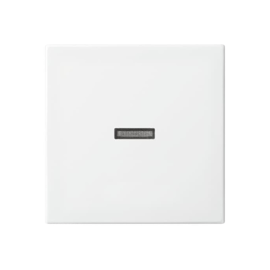 Busch-Jaeger Wippe aws Busch-balance SI 1789 N-914
