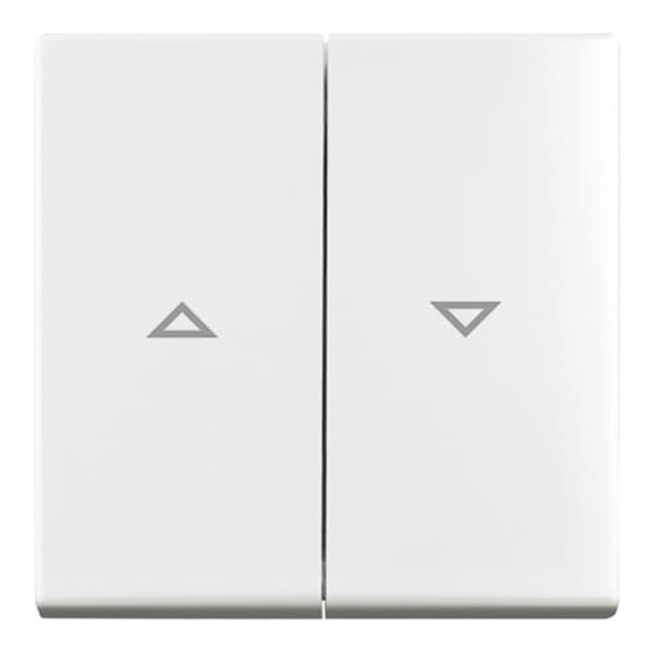 Busch-Jaeger Wippe aws Busch-balance SI 2504-914