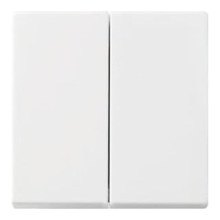 Busch-Jaeger Wippe aws Busch-balance SI 2505-914