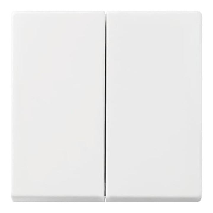 Busch-Jaeger Wippe aws Busch-balance SI 2505-914