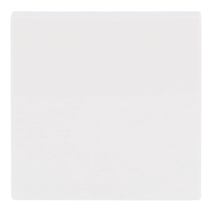 Busch-Jaeger Wippe aws Busch-balance SI 2506-914