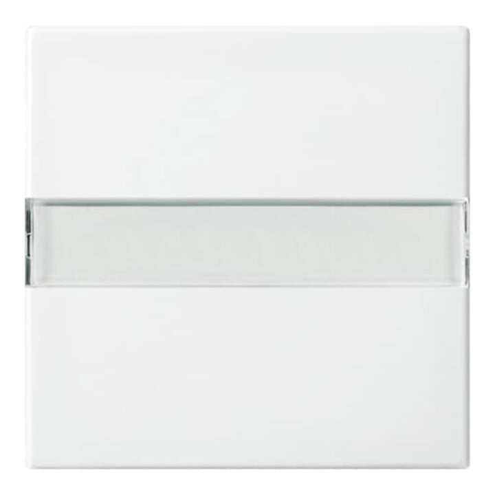 Busch-Jaeger Wippe aws Busch-balance SI 2506 N-914