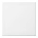 Busch-Jaeger Wippe aws Busch-balance SI 2546-914-1