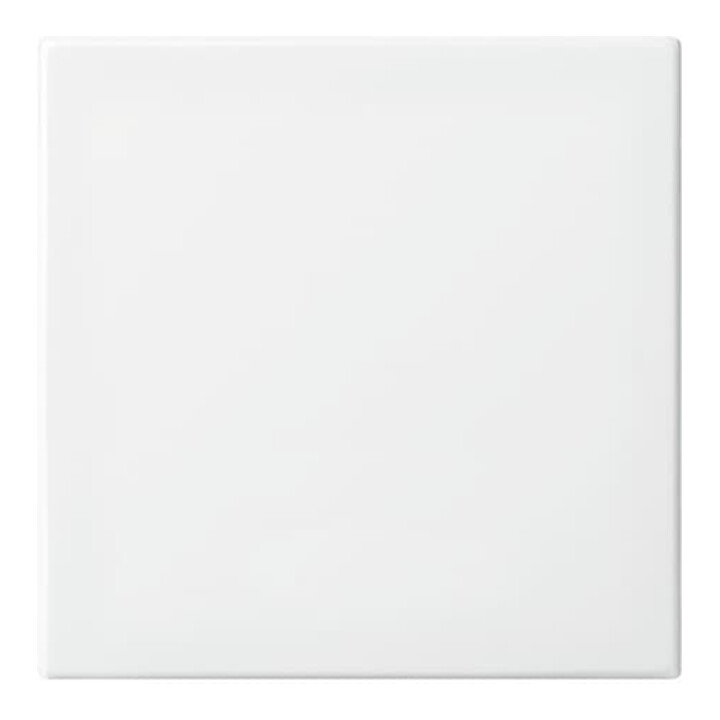 Busch-Jaeger Wippe aws Busch-balance SI 2546-914