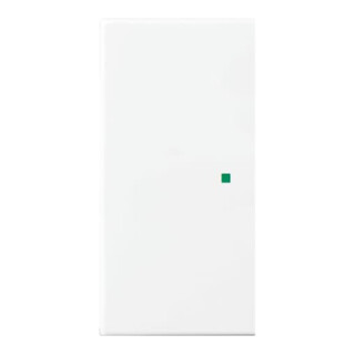 Busch-Jaeger Wippe aws Busch-balance SI 6230-20-914