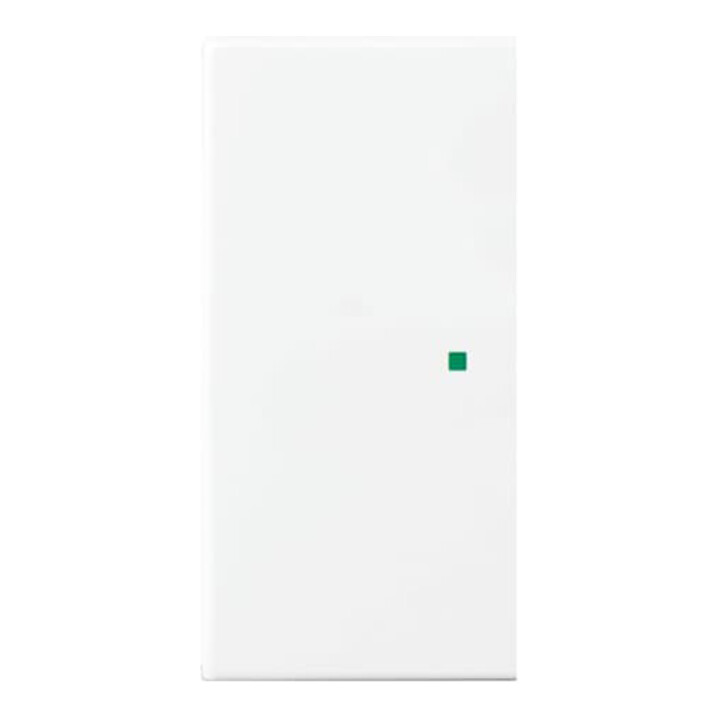 Busch-Jaeger Wippe aws Busch-balance SI 6230-20-914