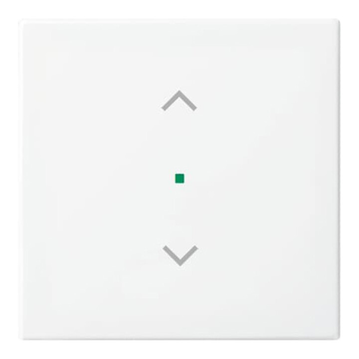 Busch-Jaeger Wippe aws Busch-balance SI 6232-10-914