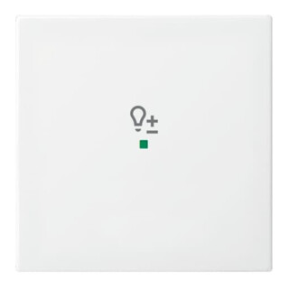 Busch-Jaeger Wippe aws Busch-balance SI 6234-10-914