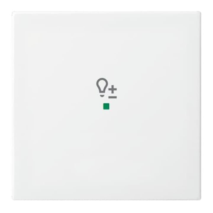 Busch-Jaeger Wippe aws Busch-balance SI 6234-10-914