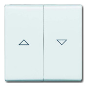 Busch-Jaeger Wippe aws Jalousieschalter 2126-34-3