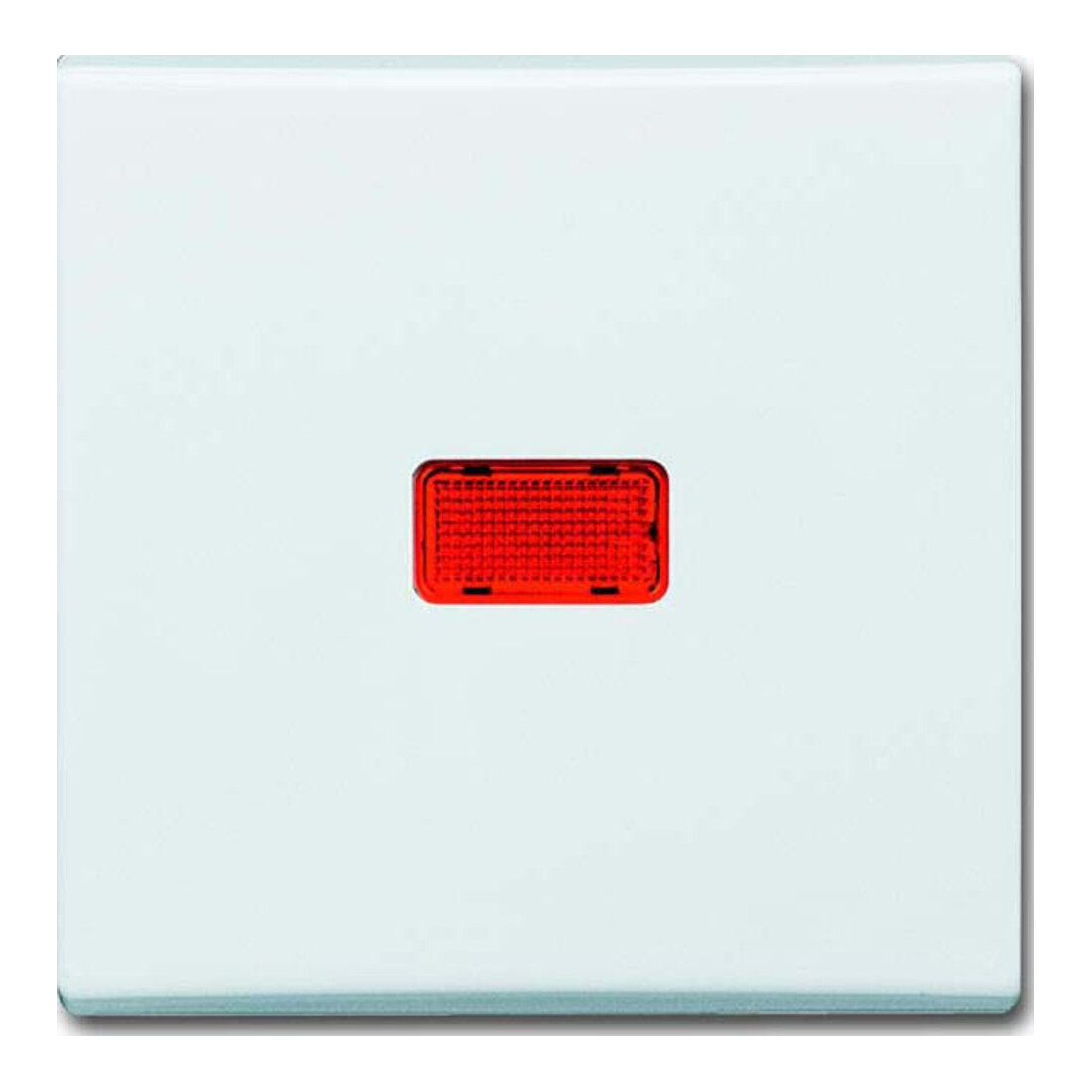 Busch-Jaeger Wippe aws Kontroll-Wechsel 2107-34
