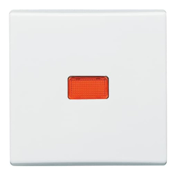 Busch-Jaeger Wippe aws Kontroll-Wechsel 2107-34
