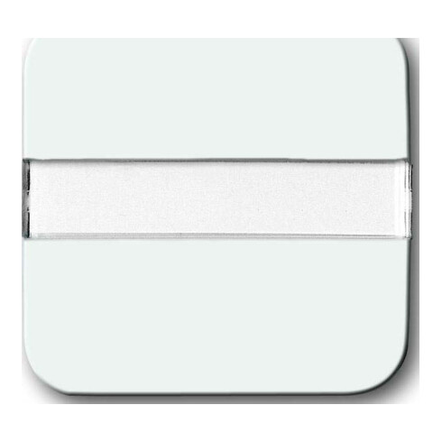 Busch-Jaeger Wippe aws Lichtl.,m.Beschrift. 2510 NLI-214