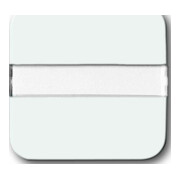 Busch-Jaeger Wippe aws Lichtl.,m.Beschrift. 2510 NLI-214