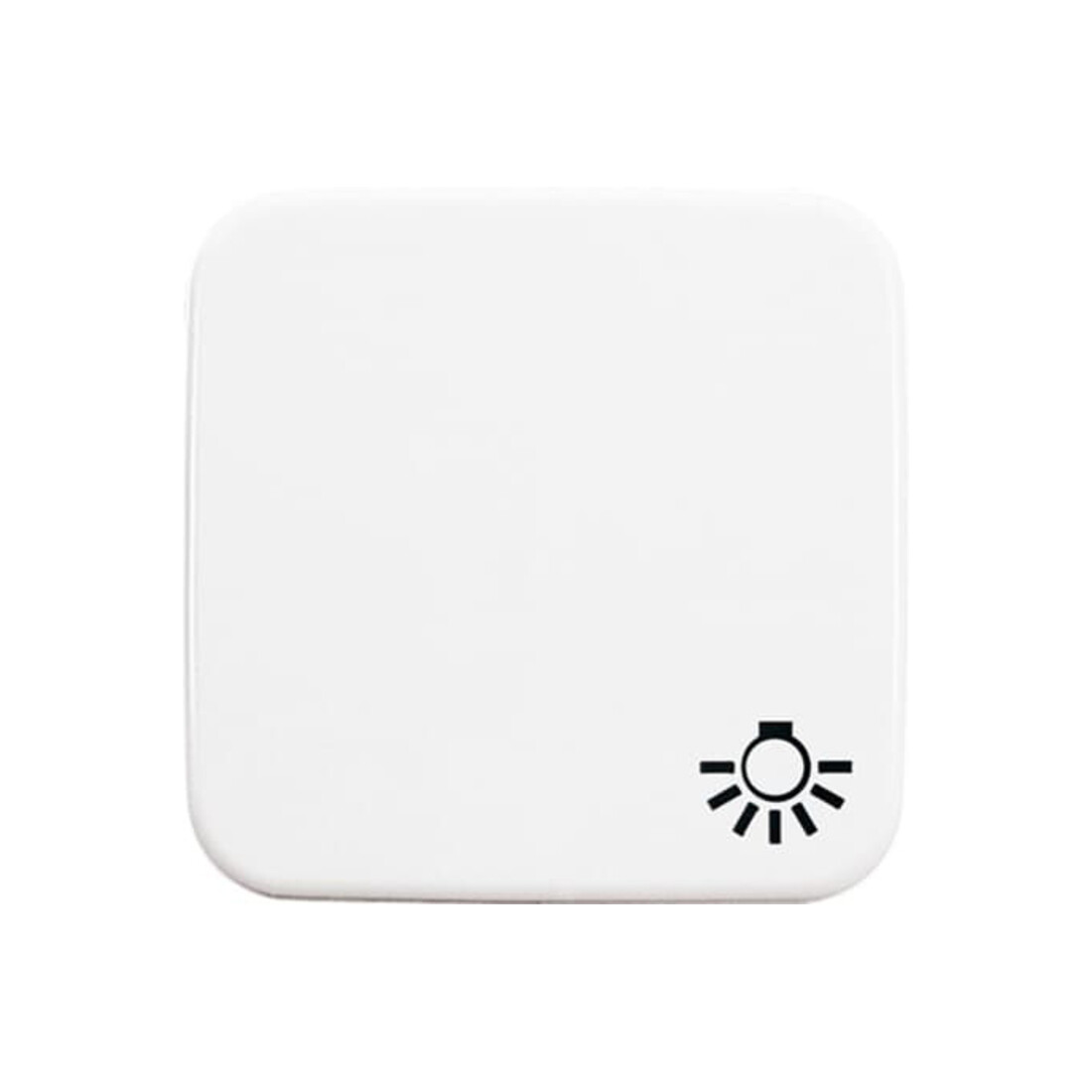 Busch-Jaeger Wippe aws mit Symbol Licht 2520 LI-214