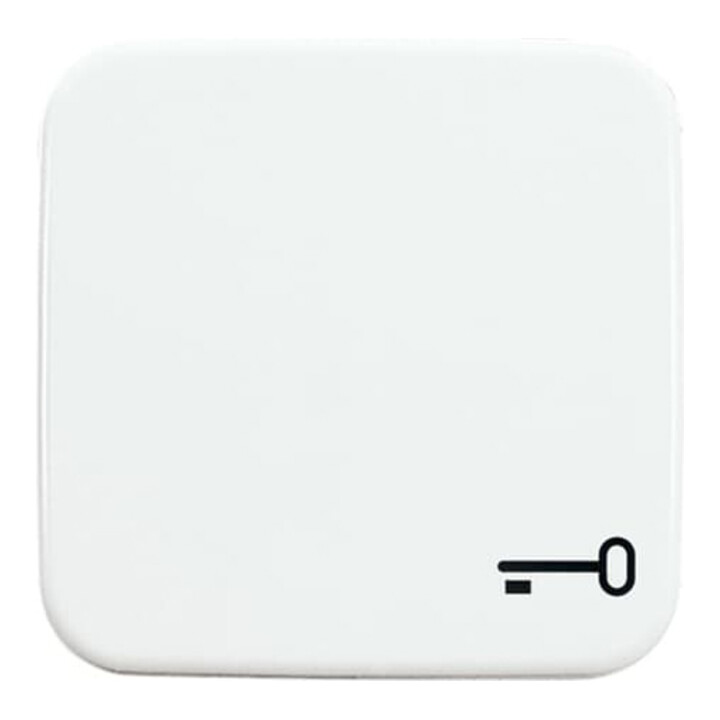 Busch-Jaeger Wippe aws mit Symbol Schlüssel 2520 TR-214