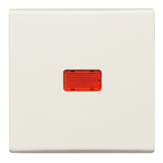 Busch-Jaeger Wippe cws Kontroll-Wechsel 2107-32