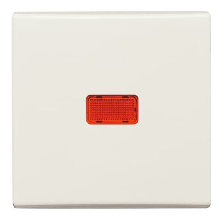 Busch-Jaeger Wippe cws Kontroll-Wechsel 2107-32