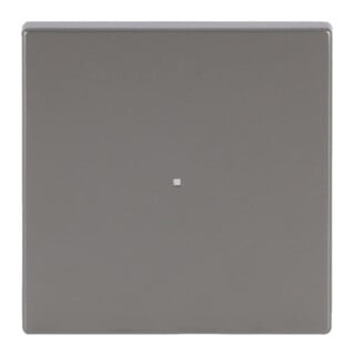 Busch-Jaeger Wippe eds pur Edelstahl 6230-10-866