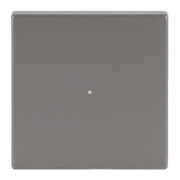 Busch-Jaeger Wippe eds pur Edelstahl 6230-10-866-1
