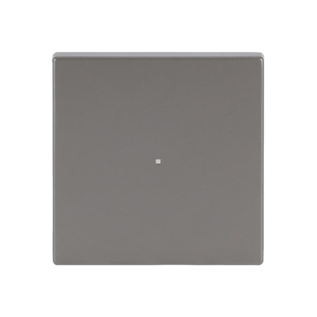Busch-Jaeger Wippe eds pur Edelstahl 6230-10-866