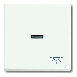 Busch-Jaeger Wippe stws mt mit Symbol Licht 1789 LI-884