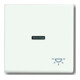 Busch-Jaeger Wippe stws mt mit Symbol Licht 1789 LI-884