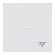 Busch-Jaeger Wippe stws mt mit Symbol Licht 1789 LI-884