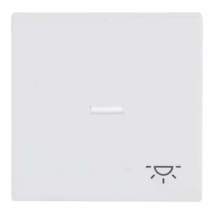 Busch-Jaeger Wippe stws mt mit Symbol Licht 1789 LI-884