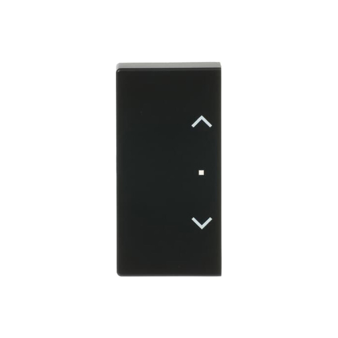 Busch-Jaeger Wippe sw mt future linear 6232-20-885