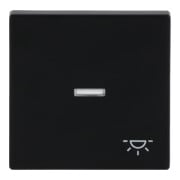 Busch-Jaeger Wippe sw mt mit Symbol Licht 1789 LI-885-3