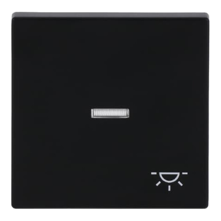 Busch-Jaeger Wippe sw mt mit Symbol Licht 1789 LI-885