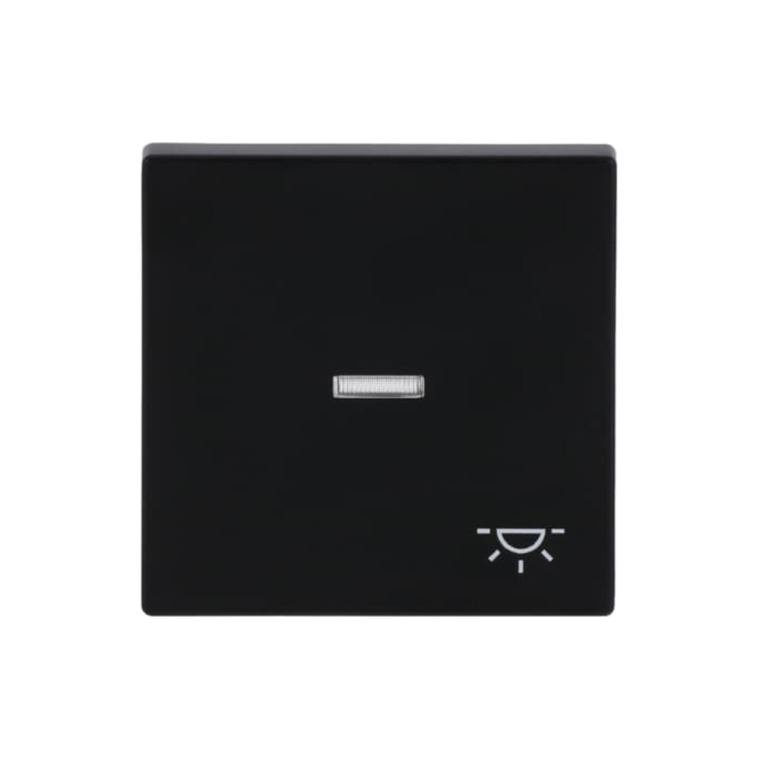 Busch-Jaeger Wippe sw mt mit Symbol Licht 1789 LI-885