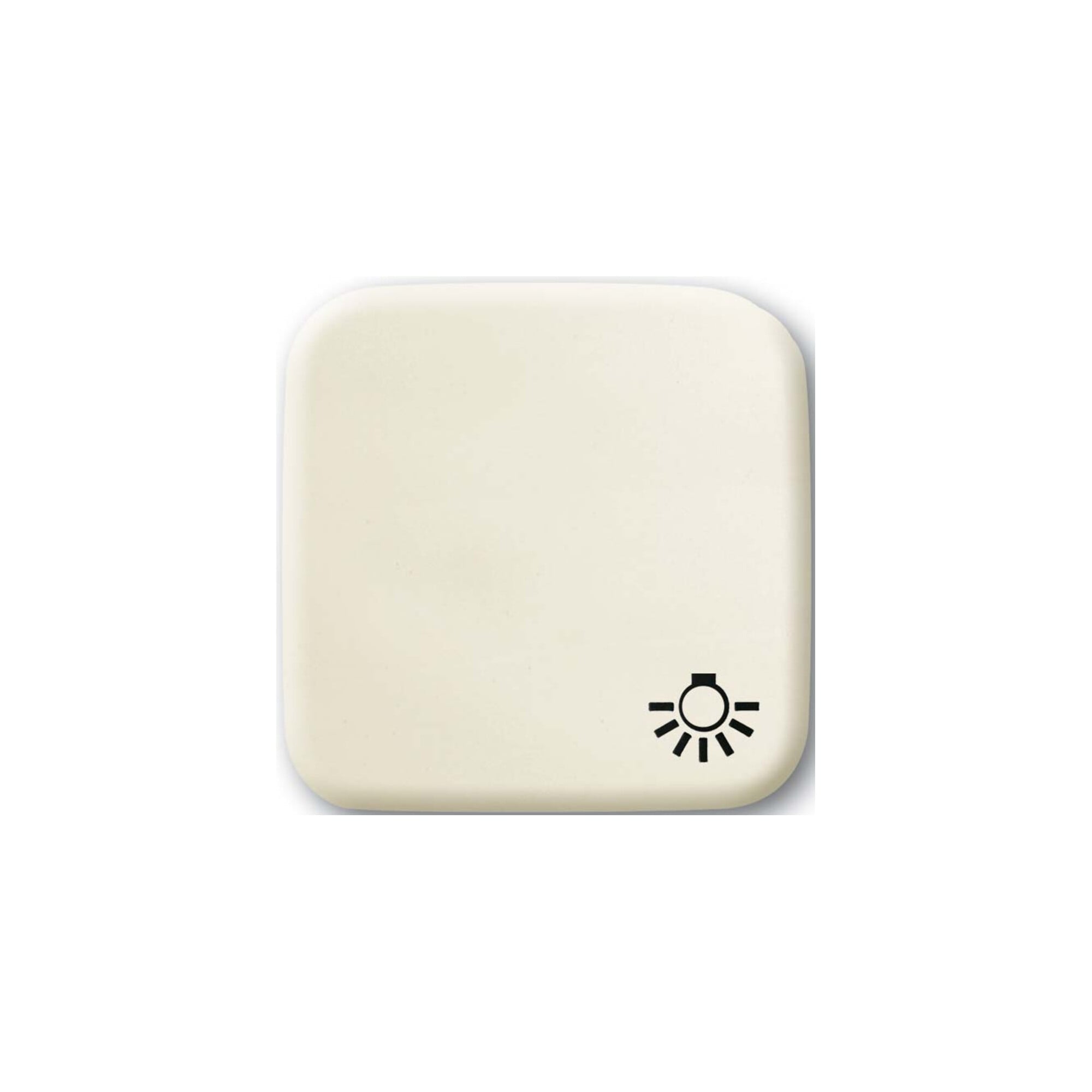 Busch-Jaeger Wippe ws mit Symbol Licht 2520 LI-212