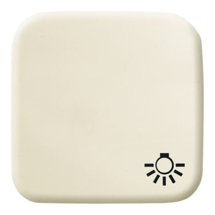 Busch-Jaeger Wippe ws mit Symbol Licht 2520 LI-212