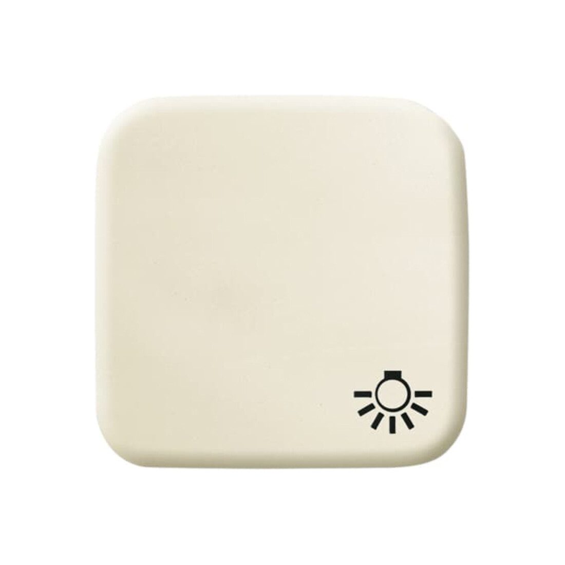 Busch-Jaeger Wippe ws mit Symbol Licht 2520 LI-212