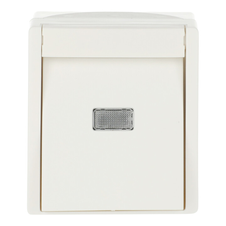 Busch-Jaeger Wipptaster,mit Beleuchtung 2621 WGL-54