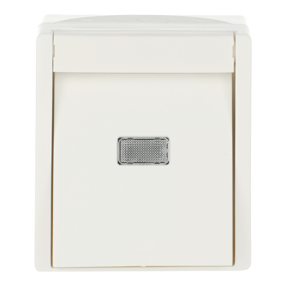 Busch-Jaeger Wipptaster,mit Beleuchtung 2621 WGL-54