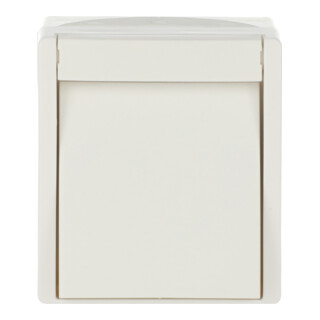 Busch-Jaeger Wipptaster,Schließer 2621 W-54