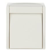 Busch-Jaeger Wipptaster,Schließer 2621 W-54-2