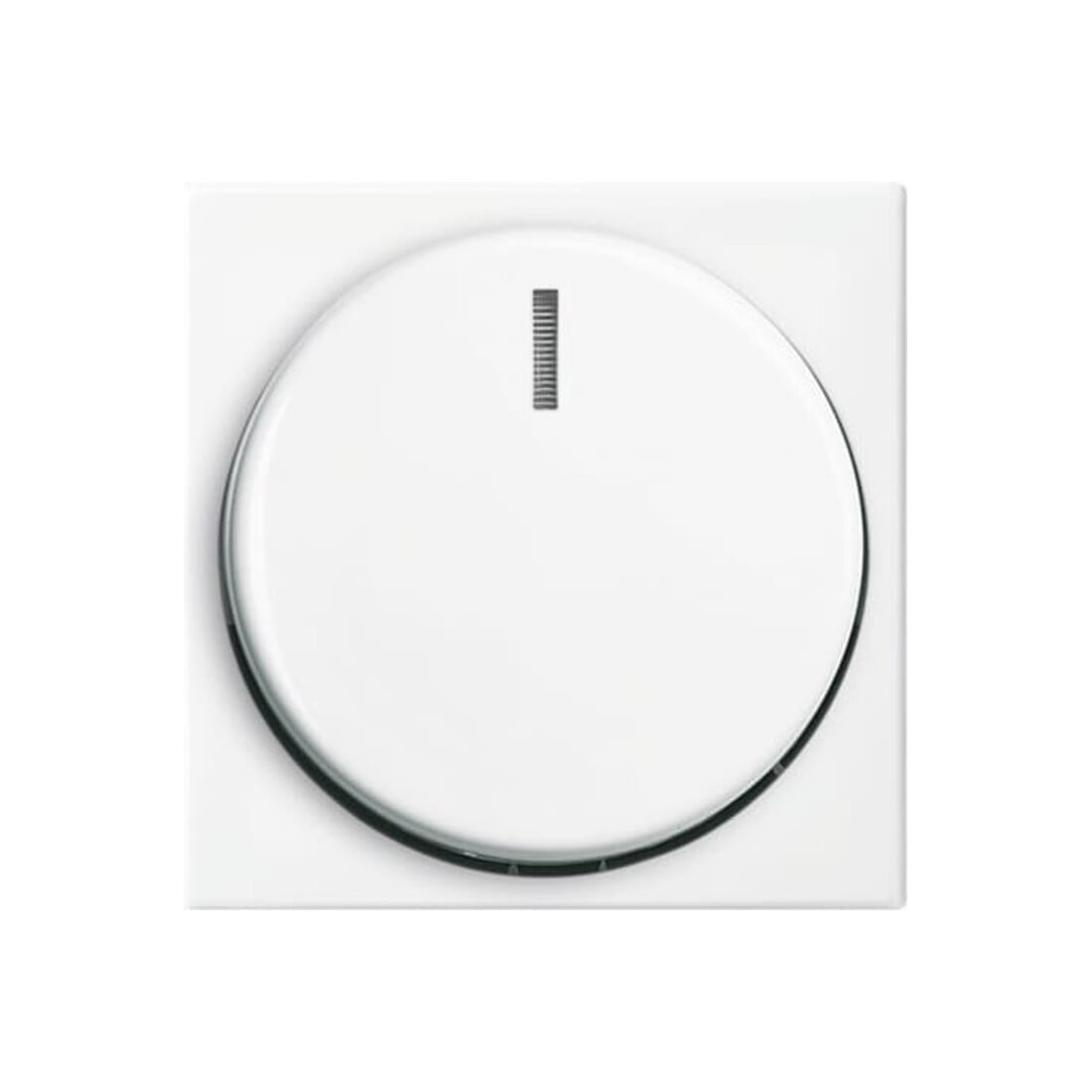Busch-Jaeger Zentralscheibe alpinws f.Dimmer 2115-914
