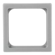 Busch-Jaeger Zentralscheibe alusi 50x50,f.TAE-Einsatz 1746/10-83-3