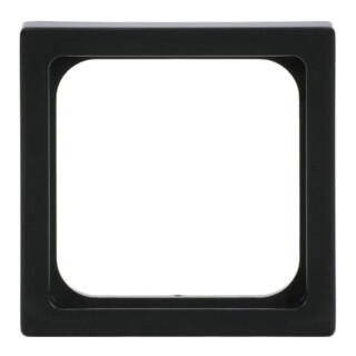Busch-Jaeger Zentralscheibe anth 50x50,f.TAE-Einsatz 1746/10-81